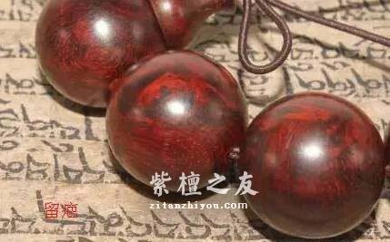 小叶紫檀知识手册-4
