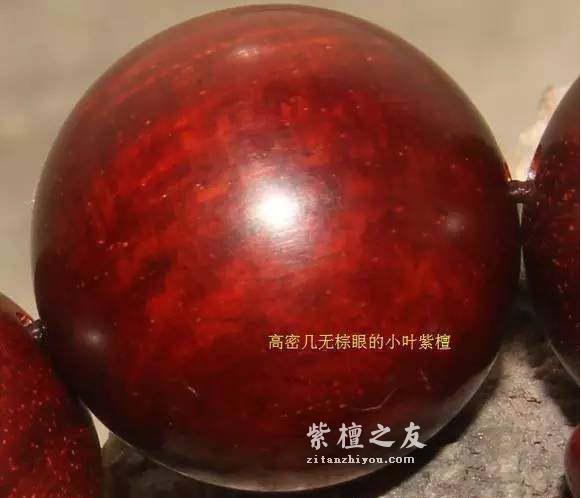 小叶紫檀知识手册-5