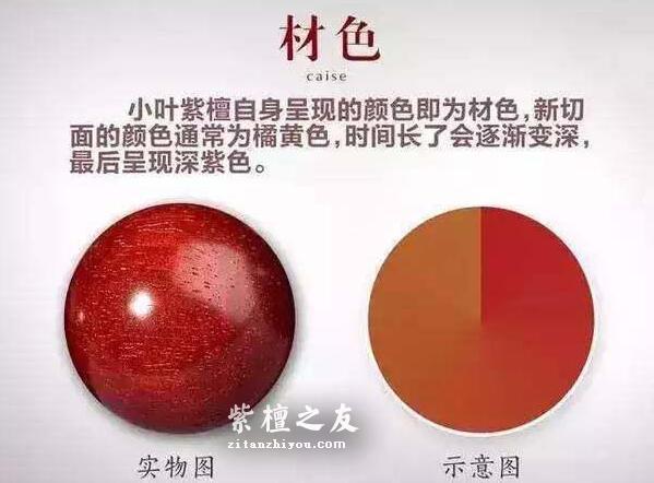 小叶紫檀知识手册-12