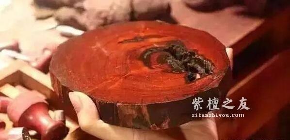 小叶紫檀知识手册-15