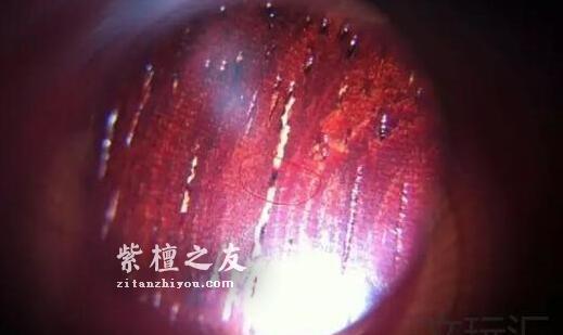 关于小叶紫檀真假金星的问题-2