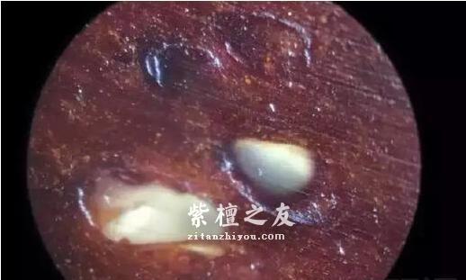 关于小叶紫檀真假金星的问题-4