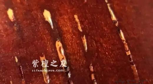 关于小叶紫檀真假金星的问题-6