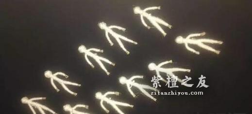 关于小叶紫檀真假金星的问题-14