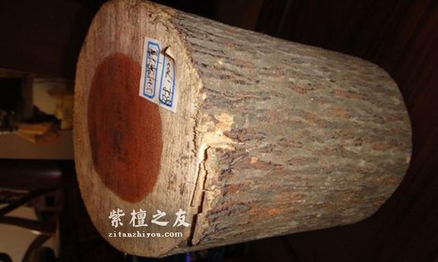 关于小叶紫檀速生林的真相，你中招了吗？-2