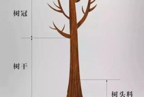 何谓小叶紫檀树头料，为什么玩紫檀都喜欢树头料？