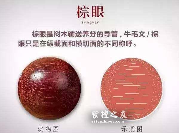 干货！小叶紫檀知识手册-9