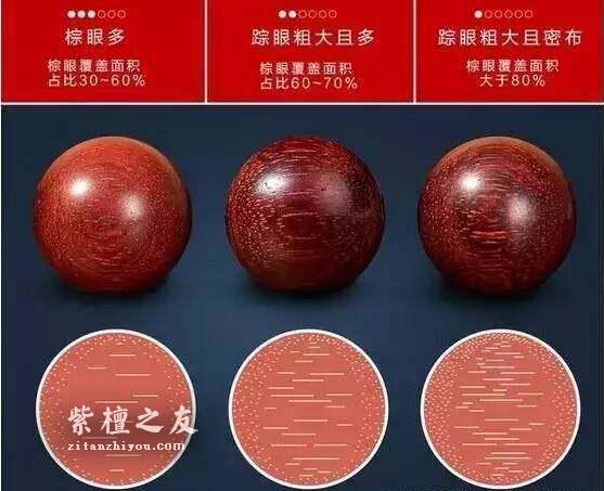 干货！小叶紫檀知识手册-11