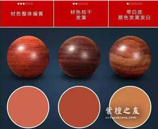 干货！小叶紫檀知识手册-14