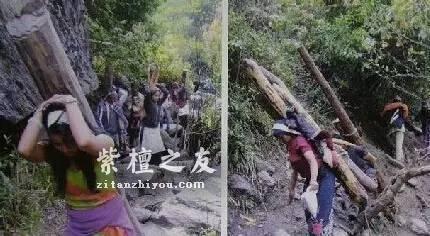 小叶紫檀为什么这么贵，如何挑选小叶紫檀手串？-4