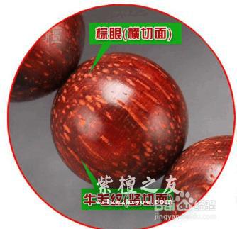 小叶紫檀为什么这么贵，如何挑选小叶紫檀手串？-9