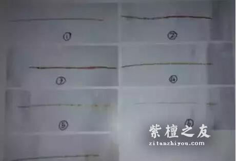 走出误区！手把手教你鉴别小叶紫檀真假的正确方法！-2