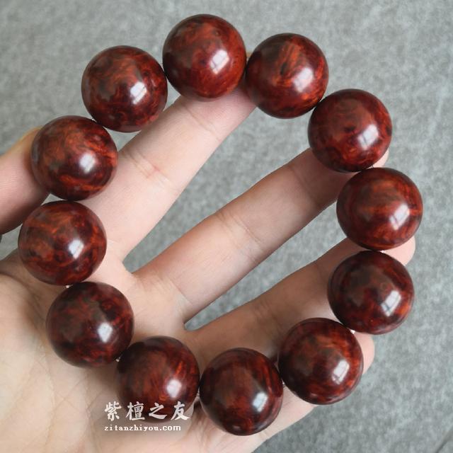 揭秘小叶紫檀降价的真相-1