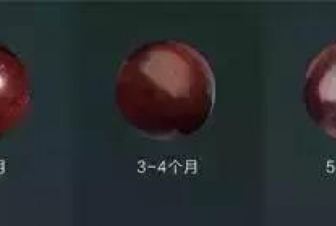 鸡血红和鸡血料，谁才是真正的小叶紫檀