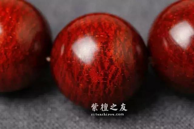 关于小叶紫檀，这个问题大家都很关心！-5