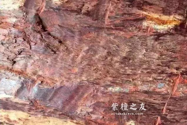小叶紫檀的顶级材质，到底长什么样？-1