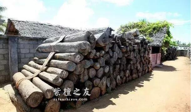 红木百科：大叶紫檀（卢氏黑黄檀）-3