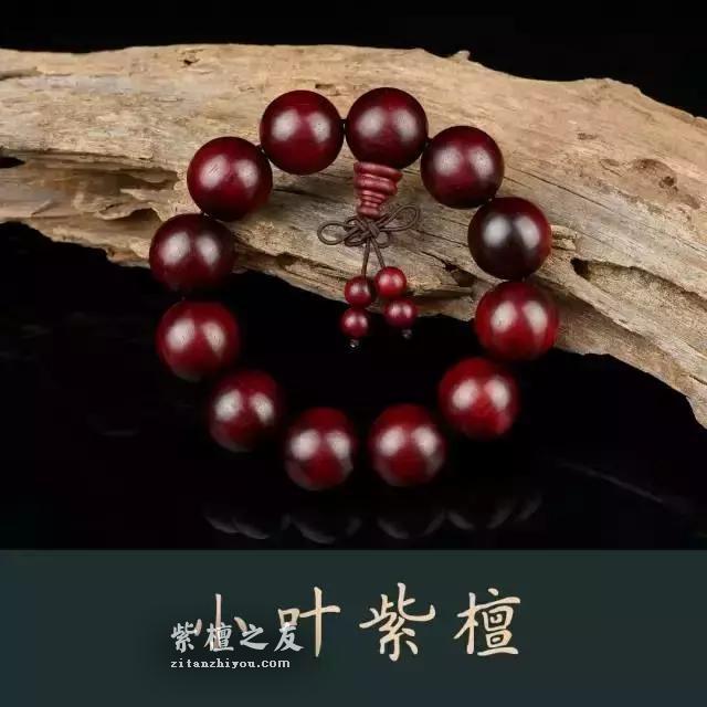 最通俗易懂的小叶紫檀入门篇-1