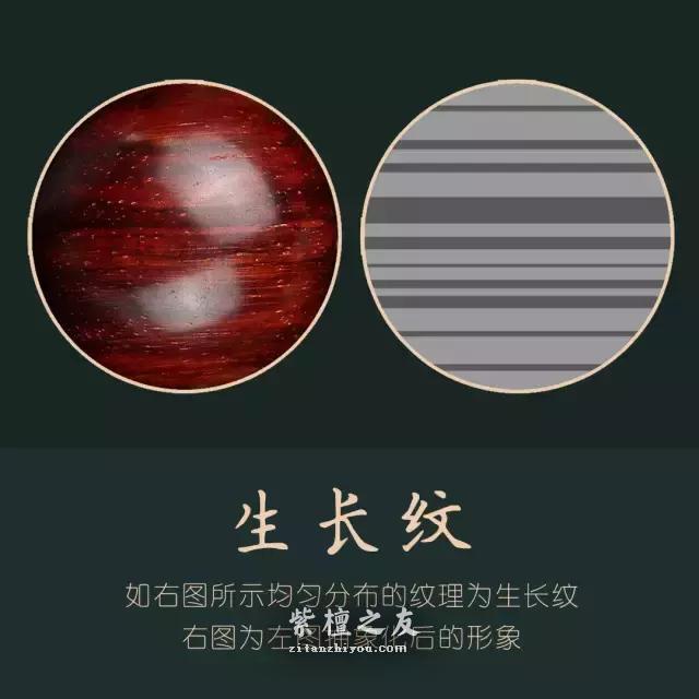 最通俗易懂的小叶紫檀入门篇-3