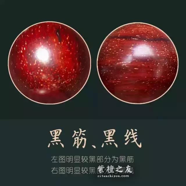 最通俗易懂的小叶紫檀入门篇-4