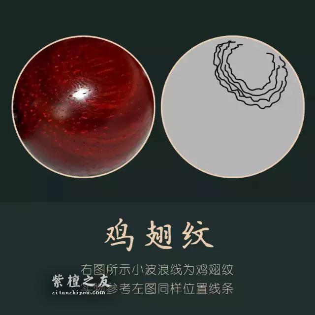 最通俗易懂的小叶紫檀入门篇-6