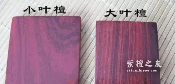 大揭秘！最全小叶紫檀造假方法总结？-2