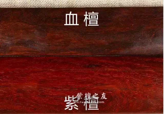 大揭秘！最全小叶紫檀造假方法总结？-4