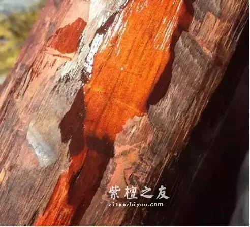 大揭秘！最全小叶紫檀造假方法总结？-5