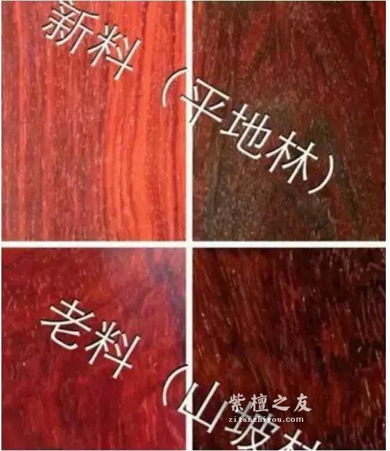 大揭秘！最全小叶紫檀造假方法总结？-8