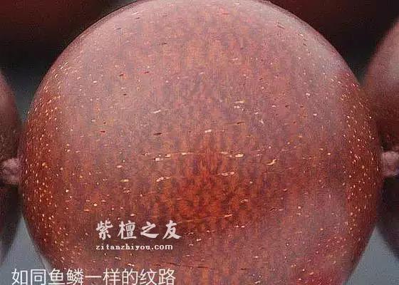 关于小叶紫檀的“鱼鳞纹”，你知道多少？-1