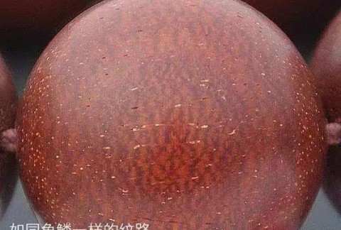 关于小叶紫檀的“鱼鳞纹”，你知道多少？