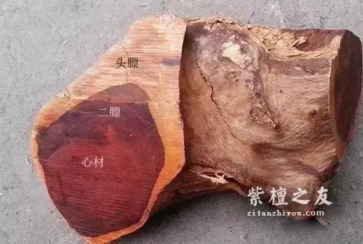 什么是小叶紫檀的二膘料、泥料、犀角质、鸡血料？-3