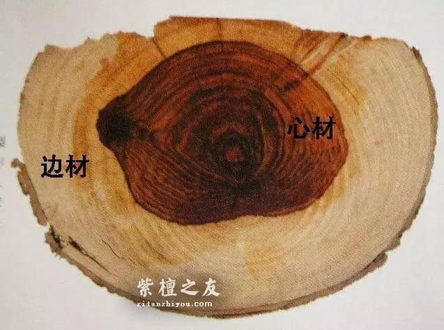 什么是小叶紫檀的二膘料、泥料、犀角质、鸡血料？-2