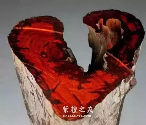 什么是小叶紫檀的二膘料、泥料、犀角质、鸡血料？-10