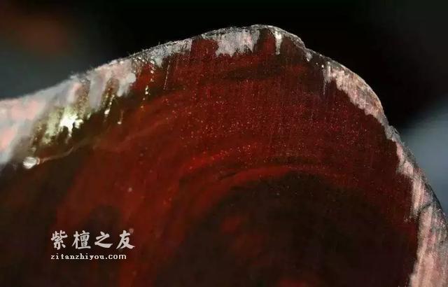 什么是小叶紫檀的二膘料、泥料、犀角质、鸡血料？-6