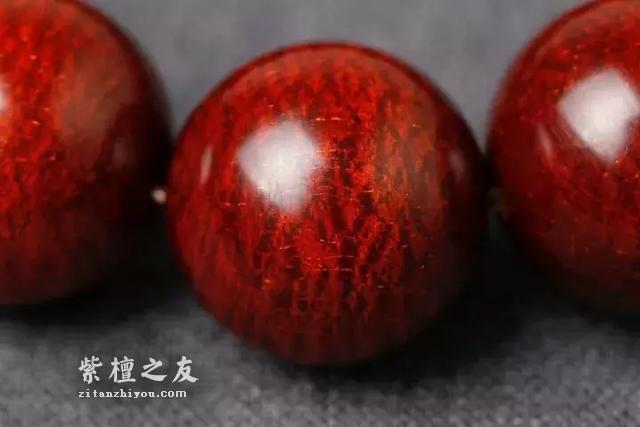 关于小叶紫檀，这个问题你一定最关心！-5