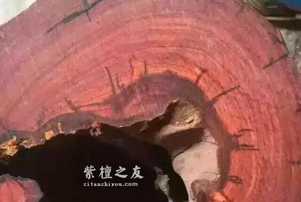 老料非好料，选购小叶紫檀手串谨防被套路！-2