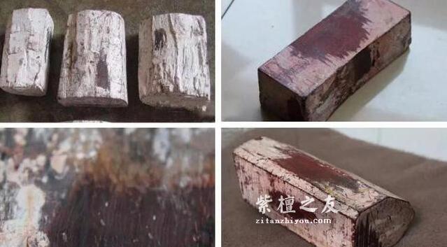 市场追捧的各大紫檀“曝光”，有的只是搞噱头-2