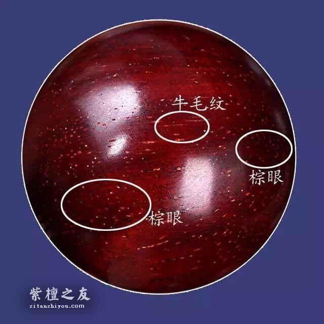 为什么我的手串棕眼越盘越多？网友表示，我可能买了一个假手串-1