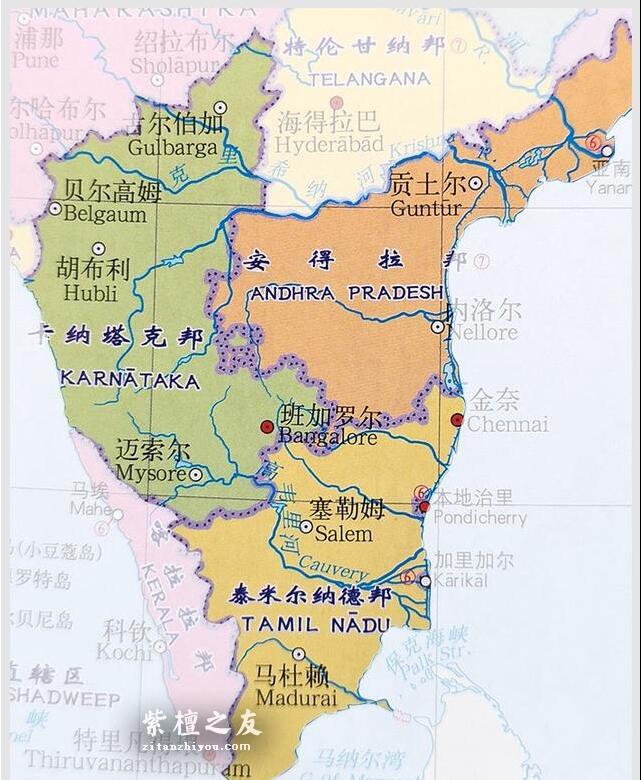 小叶紫檀与印度头号江湖大盗“森林之猫”-2