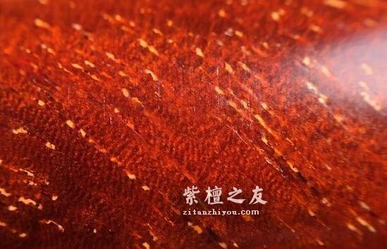 想要深入了解金星小叶紫檀？这篇文章你必须看-1