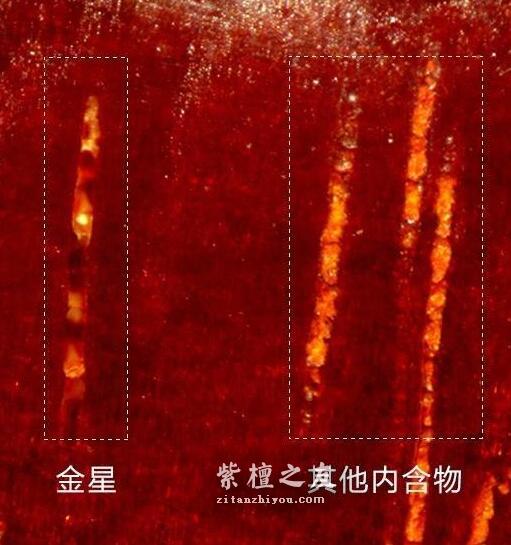 想要深入了解金星小叶紫檀？这篇文章你必须看-5