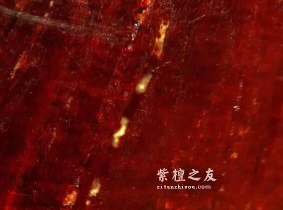 想要深入了解金星小叶紫檀？这篇文章你必须看-6