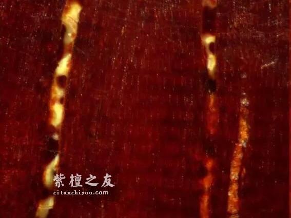 想要深入了解金星小叶紫檀？这篇文章你必须看-7