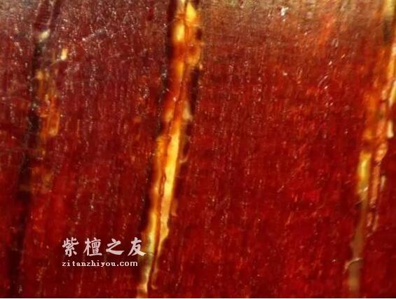 想要深入了解金星小叶紫檀？这篇文章你必须看-8