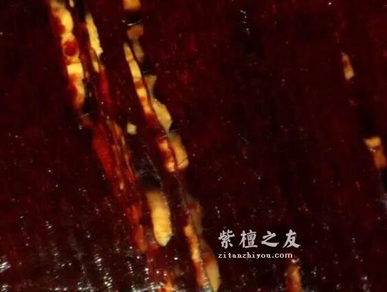 想要深入了解金星小叶紫檀？这篇文章你必须看-9