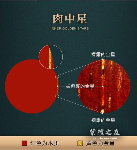 想要深入了解金星小叶紫檀？这篇文章你必须看-10