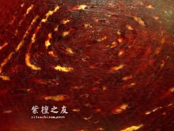想要深入了解金星小叶紫檀？这篇文章你必须看-11