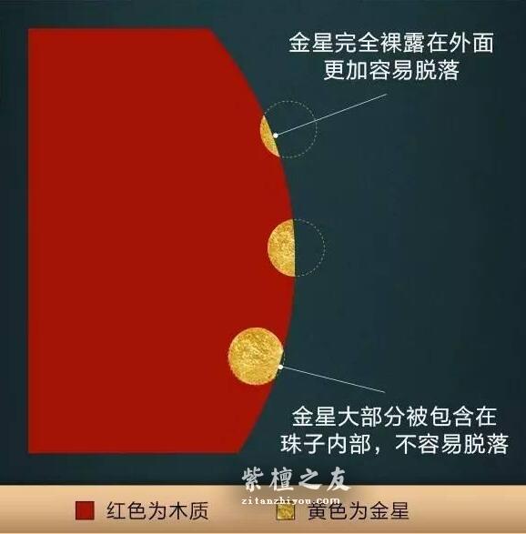 想要深入了解金星小叶紫檀？这篇文章你必须看-13