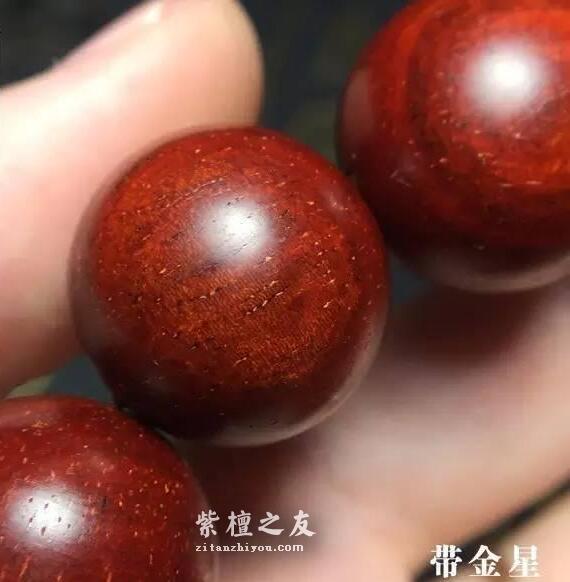 想要深入了解金星小叶紫檀？这篇文章你必须看-14
